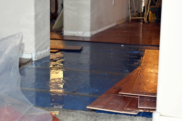 Professional Flood Cleanup technician working in Goodells, MI